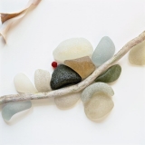 sea, ocean, white, shells, sea glass