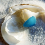 beach, sea shell, shell, sea glass, sand, photography